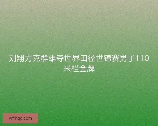 刘翔力克群雄夺世界田径世锦赛男子110米栏金牌