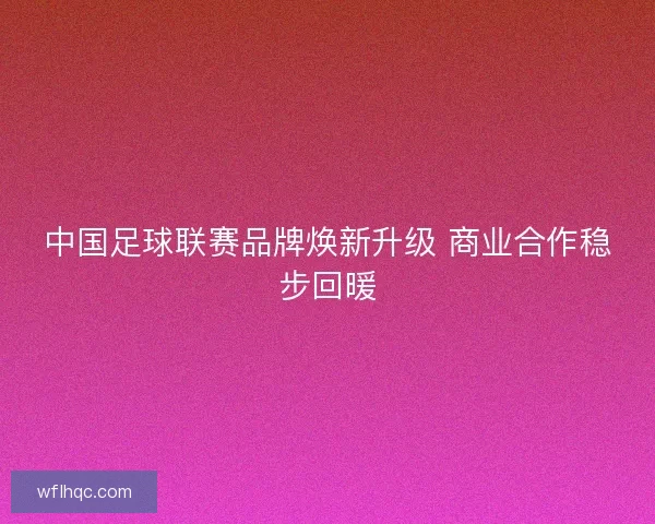 中国足球联赛品牌焕新升级 商业合作稳步回暖 中国足球联赛品牌焕新升级 商业合作稳步回暖